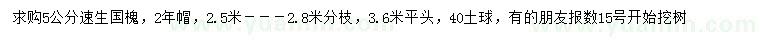 求購5公分速生國槐