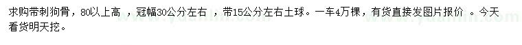 求購(gòu)高80公分以上帶刺構(gòu)骨