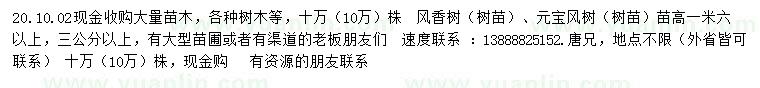 求購高1.6米以上楓香、元寶楓