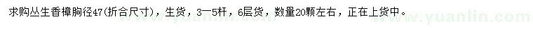 求購胸徑47公分叢生香樟