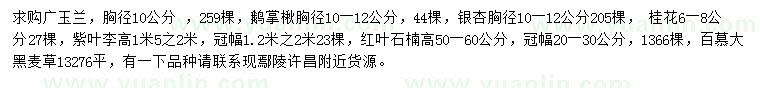 求購廣玉蘭、鵝掌楸、銀杏等