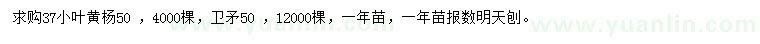 求購37公分小葉黃楊、50公分衛(wèi)矛