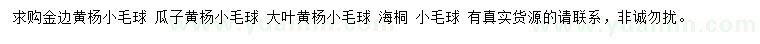 求購金邊黃楊球、瓜子黃楊球、大葉黃楊球等