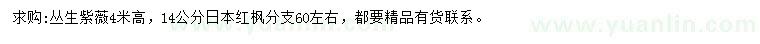 求購高4米叢生紫薇、14公分日本紅楓