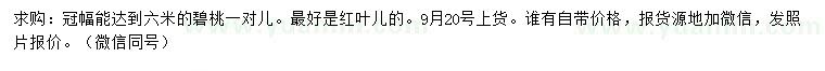 求購冠幅6米碧桃