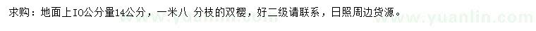求購10公分量14公分雙櫻