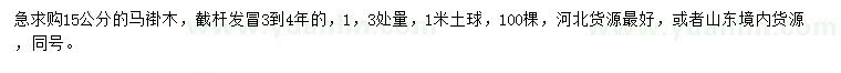 求購1.3米量15公分馬褂木