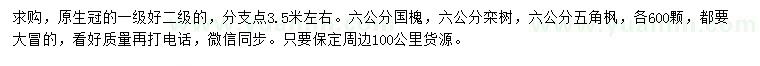求購(gòu)國(guó)槐、欒樹、五角楓
