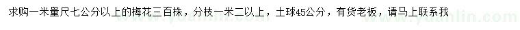 求購1米量7公分以上梅花