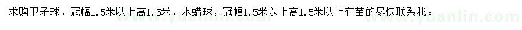 求購(gòu)冠幅1.5米以上衛(wèi)矛球、水蠟球