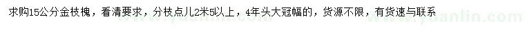 求購15公分金枝槐
