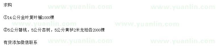 求購金葉復(fù)葉槭、碧桃、杏樹等