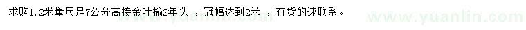 求購胸徑7公分高接金葉榆