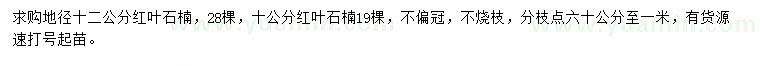 求購地徑10、12公分紅葉石楠