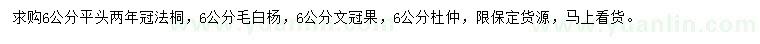 求購法桐、毛白楊、文冠果等