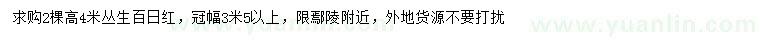 求購(gòu)高4米叢生百日紅