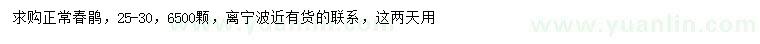 求購25-30公分春鵑