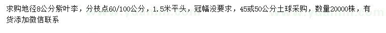 求購(gòu)地徑8公分紫葉李