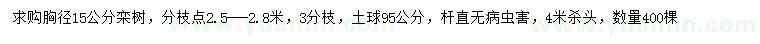 求購胸徑15公分欒樹