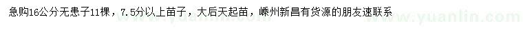 求購16公分無患子