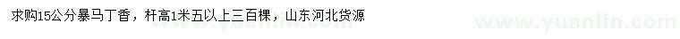 求購(gòu)15公分暴馬丁香