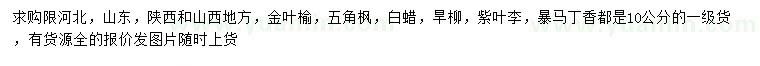 求購金葉榆、五角楓、白蠟等
