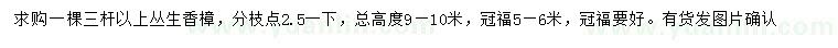 求購(gòu)高9-10米叢生香樟
