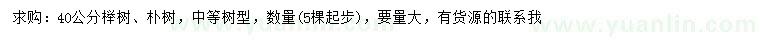 求購40公分櫸樹、樸樹