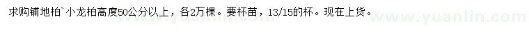 求購高50公分以上鋪地柏、小龍柏