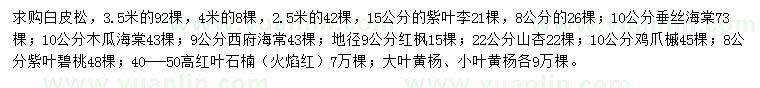 求購白皮松、紫葉李、垂絲海棠等
