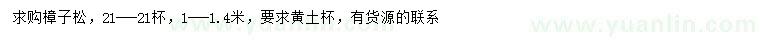 求購1-1.4米樟子松