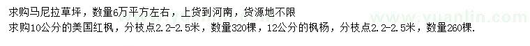 求購(gòu)10公分美國(guó)紅楓
