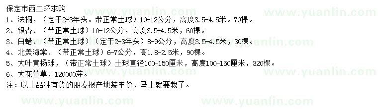 求購10-12公分法桐