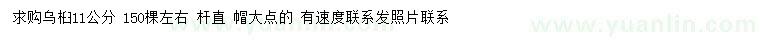 求購11公分烏桕