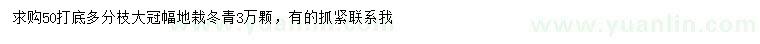 求購50公分以上冬青