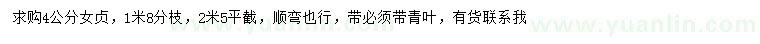 求購4公分女貞