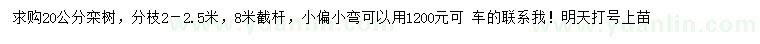 求購20公分欒樹