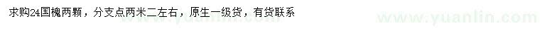 求購24公分國槐