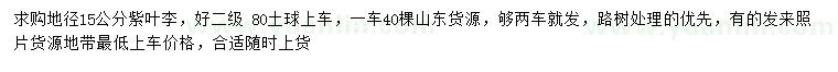求購地徑15公分紫葉李