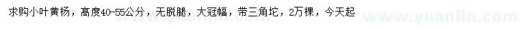 求購(gòu)高40-55公分小葉黃楊