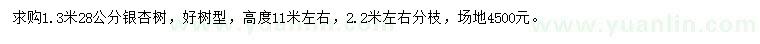 求購1.3米量28公分銀杏