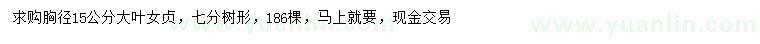 求購胸徑15公分大葉女貞