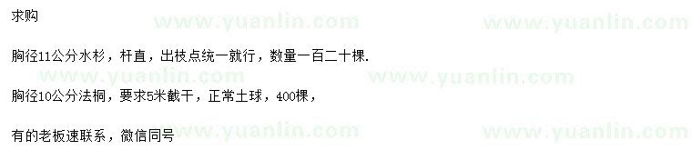 求購(gòu)胸徑11公分水杉、胸徑10公分法桐