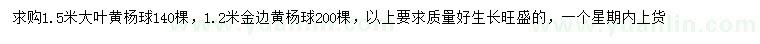 求購1.5米大葉黃楊球、1.2米金邊黃楊球
