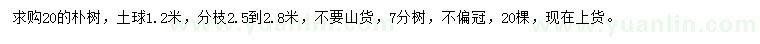 求購20公分樸樹