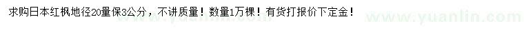 求購(gòu)20量3公分日本紅楓