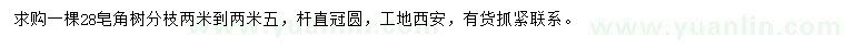 求購28公分皂角樹(shù)