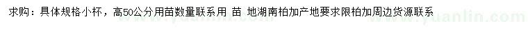 求購(gòu)高50公分紅葉石楠