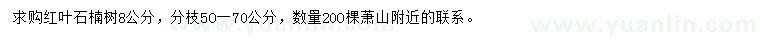 求購8公分紅葉石楠