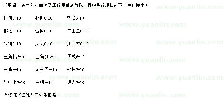 求購(gòu)櫸樹、樸樹、烏桕等